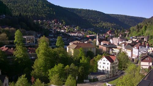 Webcam Bad Wildbad