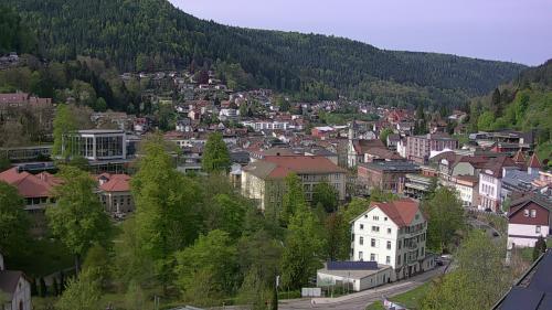 Webcam Bad Wildbad