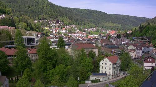 Webcam Bad Wildbad
