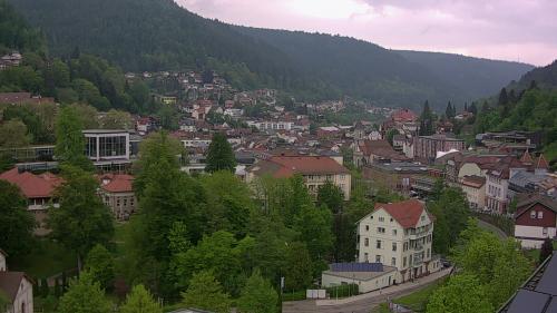 Webcam Bad Wildbad