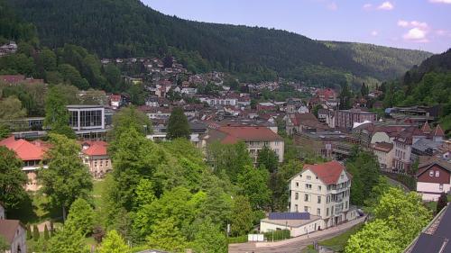 Webcam Bad Wildbad
