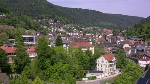 Webcam Bad Wildbad
