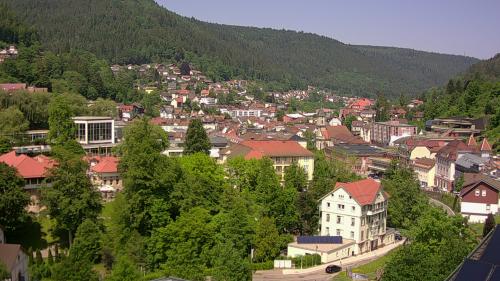 Webcam Bad Wildbad