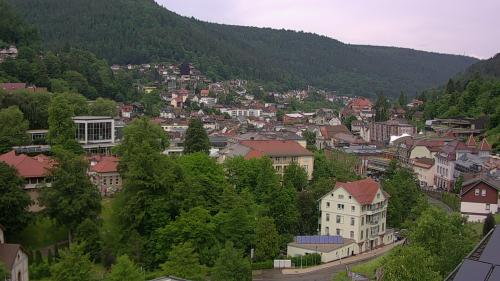 Webcam Bad Wildbad