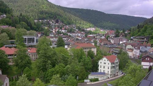 Webcam Bad Wildbad