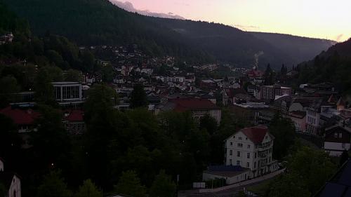 Webcam Bad Wildbad