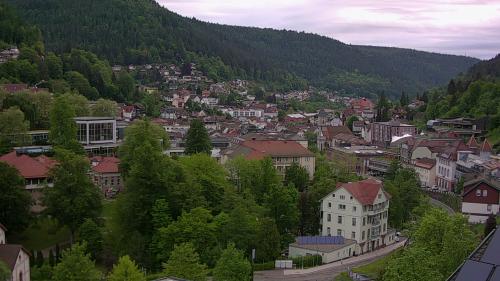 Webcam Bad Wildbad