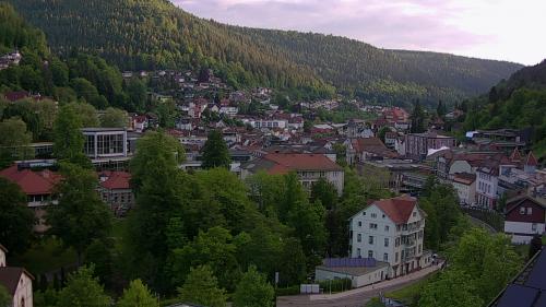 Webcam Bad Wildbad