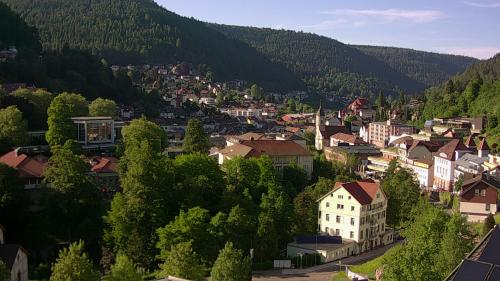 Webcam Bad Wildbad