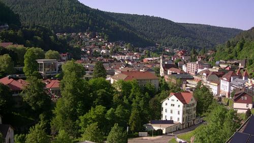 Webcam Bad Wildbad