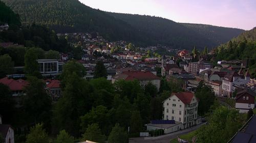 Webcam Bad Wildbad