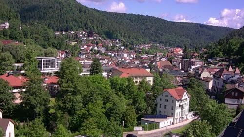Webcam Bad Wildbad