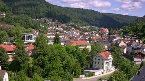 Webcam Bad Wildbad