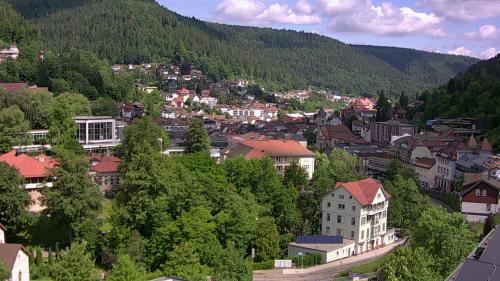 Webcam Bad Wildbad