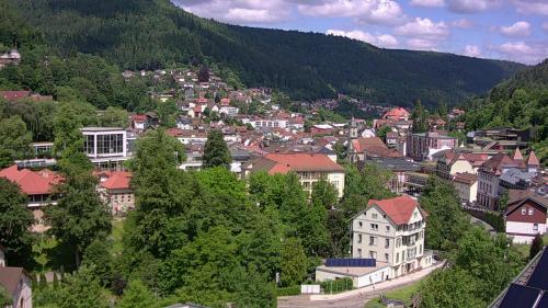 Webcam Bad Wildbad