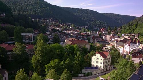Webcam Bad Wildbad