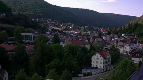 Webcam Bad Wildbad