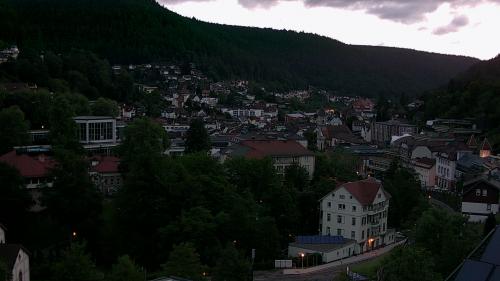 Webcam Bad Wildbad