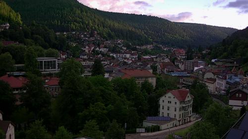 Webcam Bad Wildbad