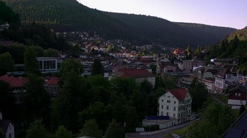 Webcam Bad Wildbad