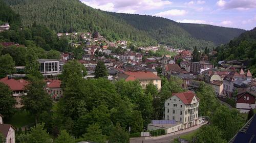 Webcam Bad Wildbad
