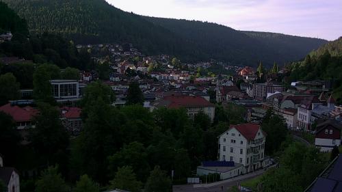 Webcam Bad Wildbad