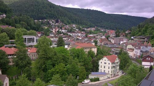 Webcam Bad Wildbad