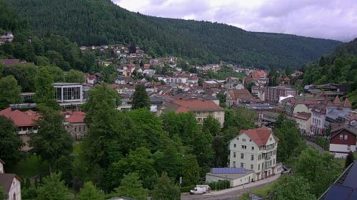 Webcam Bad Wildbad