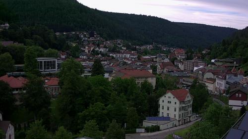 Webcam Bad Wildbad