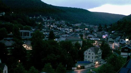 Webcam Bad Wildbad