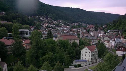 Webcam Bad Wildbad