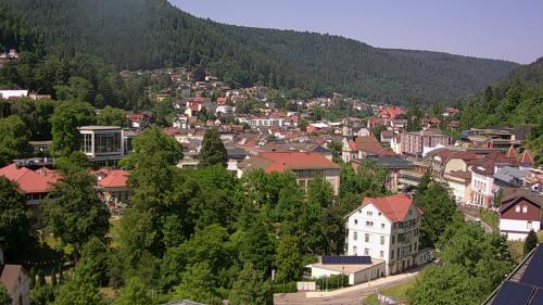 Webcam Bad Wildbad