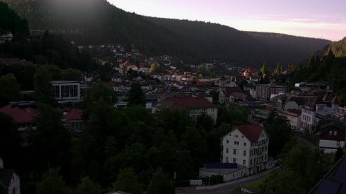 Webcam Bad Wildbad