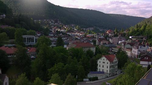 Webcam Bad Wildbad