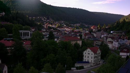 Webcam Bad Wildbad