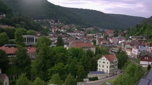 Webcam Bad Wildbad