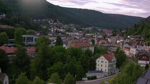 Webcam Bad Wildbad