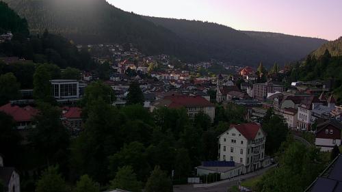 Webcam Bad Wildbad