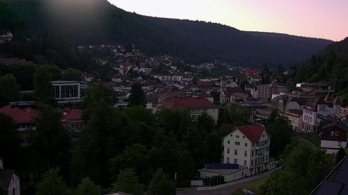 Webcam Bad Wildbad
