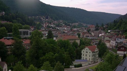 Webcam Bad Wildbad