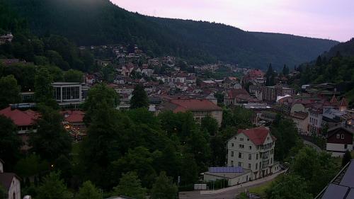 Webcam Bad Wildbad