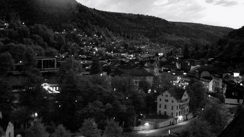Webcam Bad Wildbad