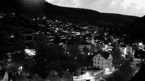 Webcam Bad Wildbad