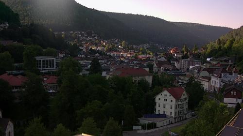 Webcam Bad Wildbad