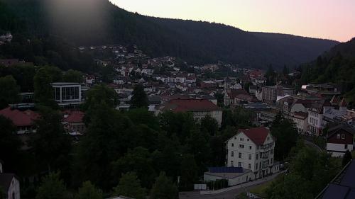 Webcam Bad Wildbad