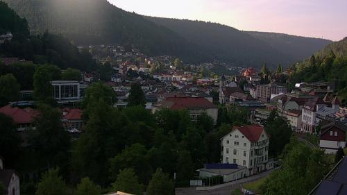 Webcam Bad Wildbad