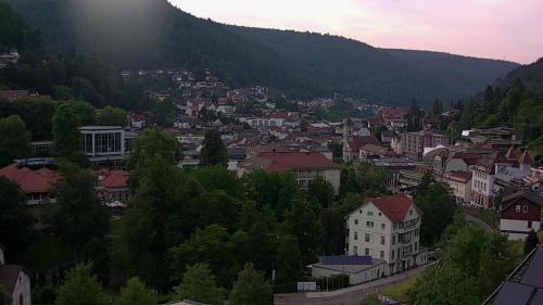 Webcam Bad Wildbad