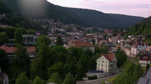 Webcam Bad Wildbad