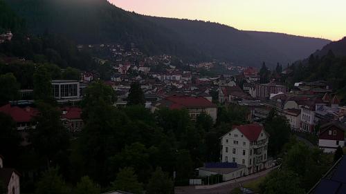 Webcam Bad Wildbad
