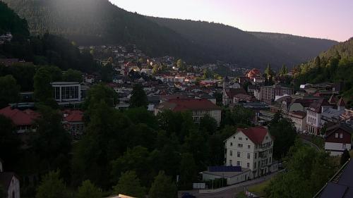 Webcam Bad Wildbad